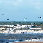 Joli Appartement F3 - 50M De La Mer